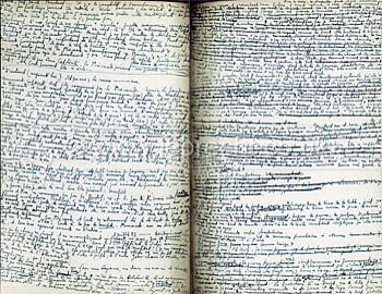 דמיון ופרטים אישיית - הכתיבה של אירן נמירובסקי